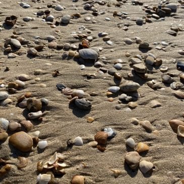 RespiraciĂłn y Mindfulness Trabajo de respiraciĂłn consciente en Marbella 29660
